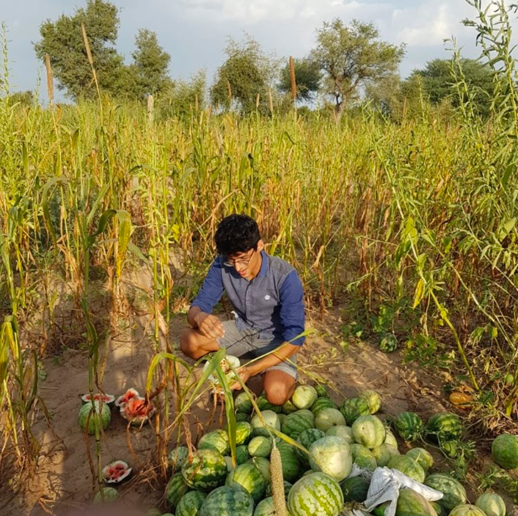 Cleaner Labels, Better Choices